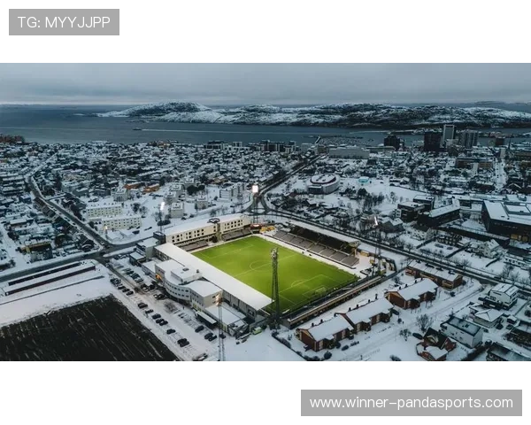 足球星级评分最高的足球究竟有多高性能体验它的超凡魅力